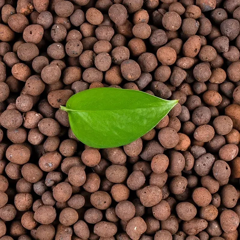 Sphagnum Moss Bag - 500g/packGarden Hydroponic Expanded Clay Pebbles15mm-20mm Lightweight