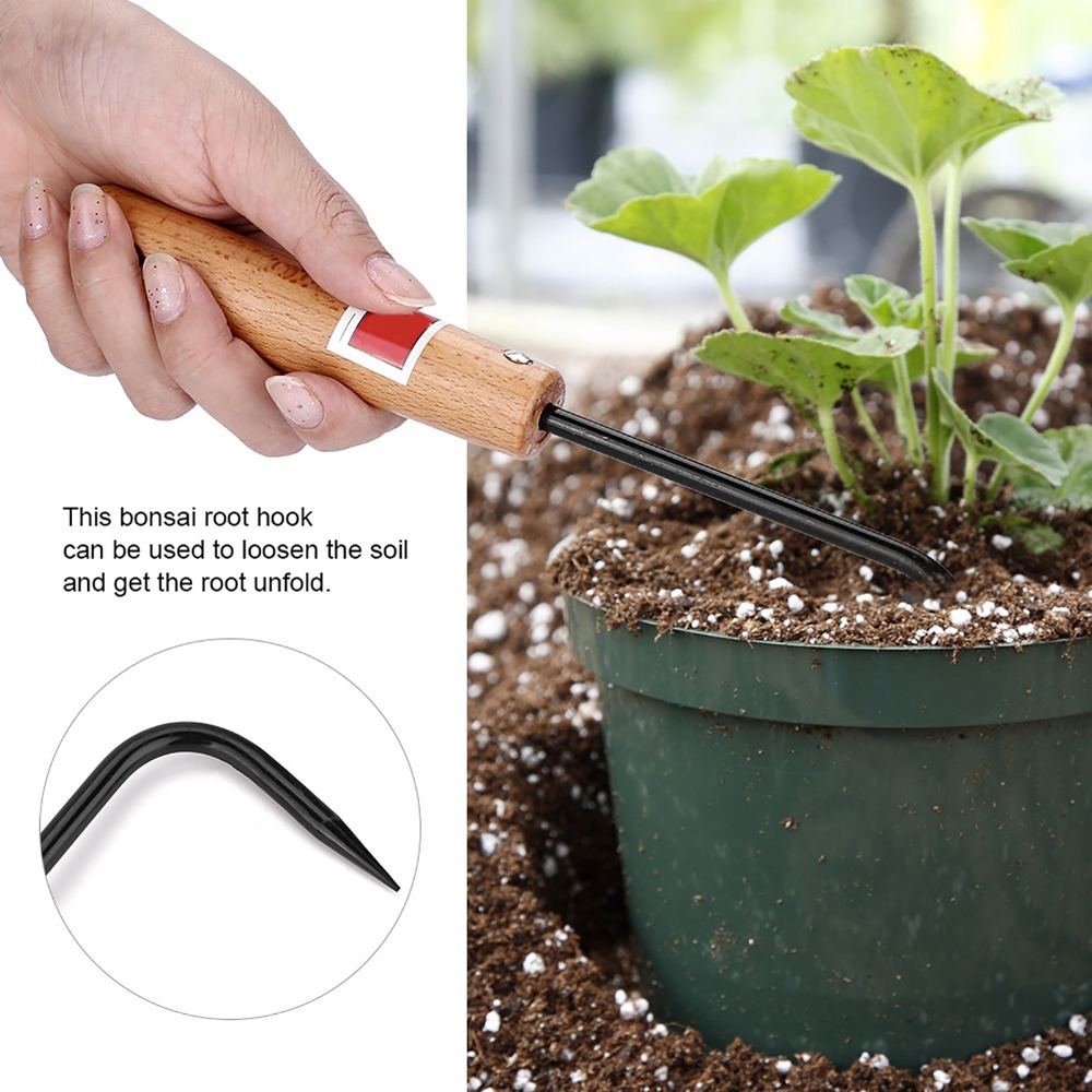 Sturdy Iron Bonsai Root Hook W - Root Hook Tool ulasan dan harga