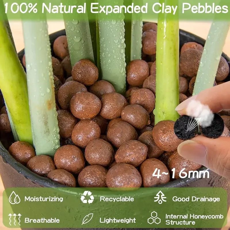 500g/packGarden Hydroponic Exp - Sphagnum Moss Bag ulasan dan harga