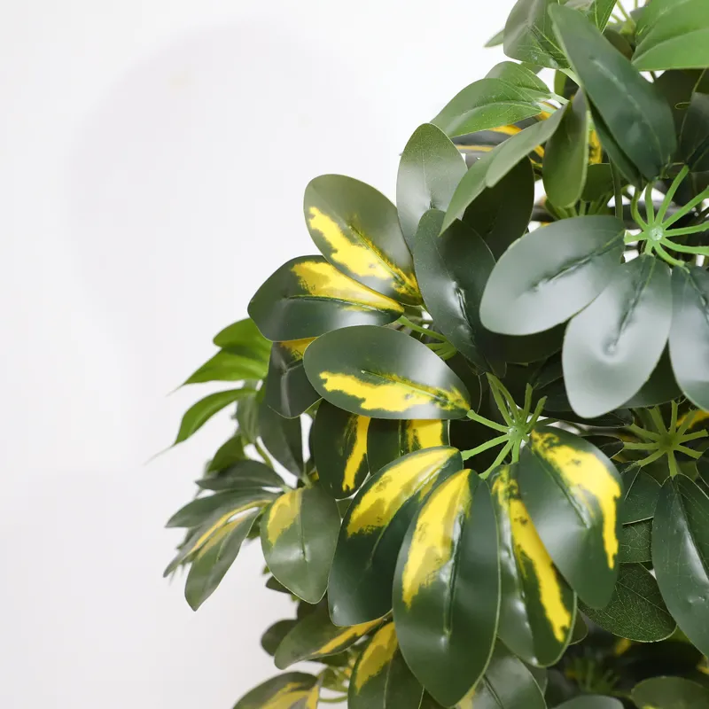 Wholesale Factory Direct Price - Bonsai Garden Price ulasan dan harga