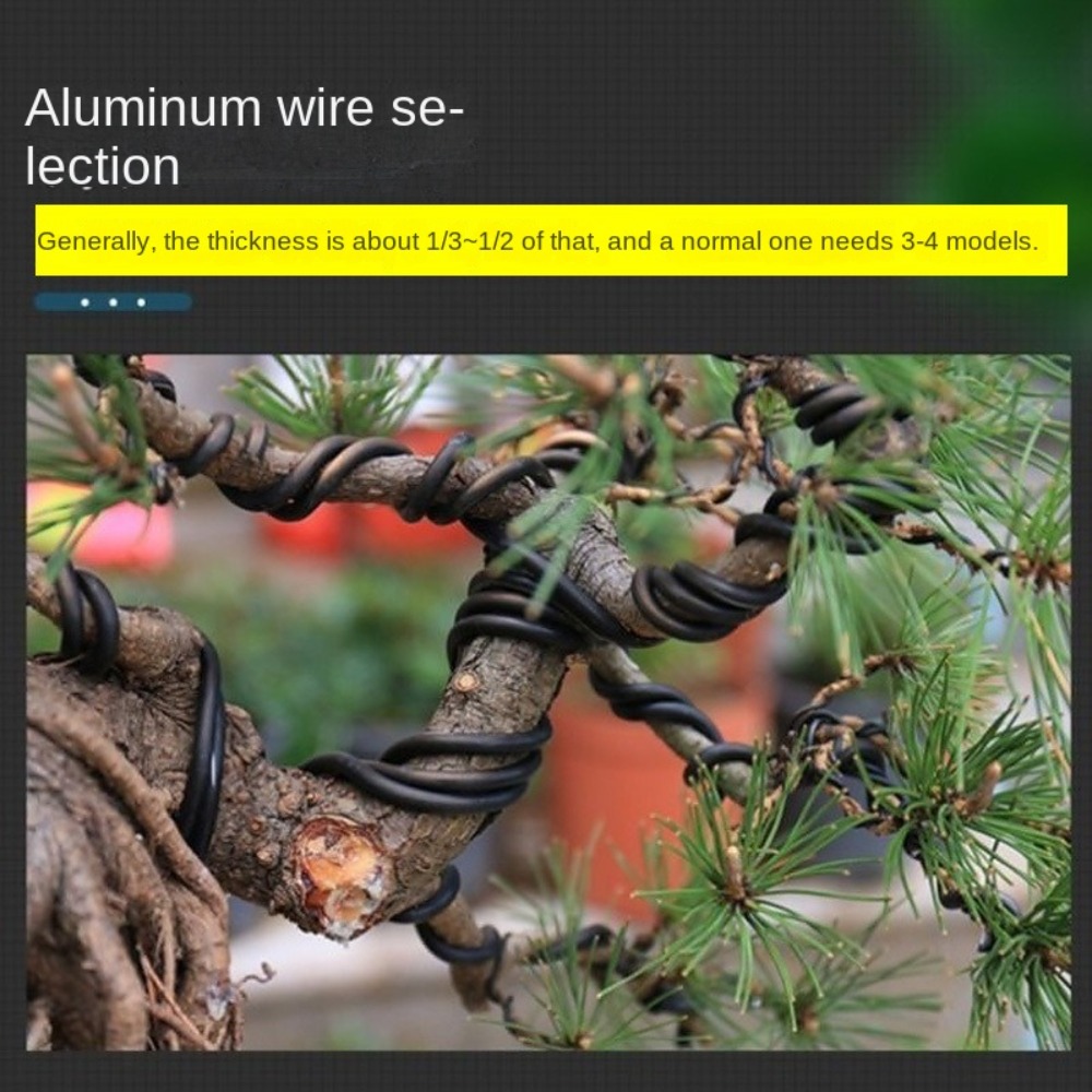 Aluminum Bonsai Wire Garden Bo - Bonsai Wire Aluminum ulasan dan harga