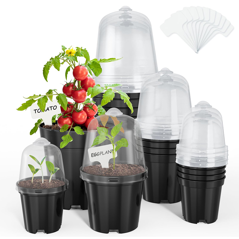 Nursery Pots Flowerpot Gardeni - Bonsai Garden Nursery ulasan dan harga