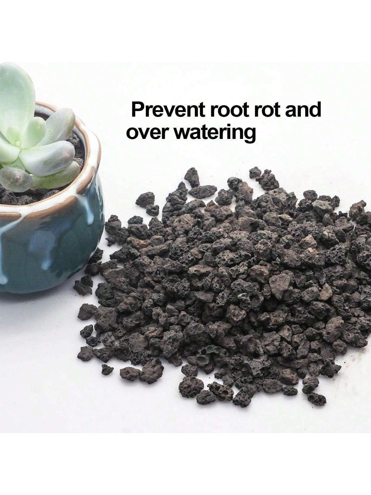 Black Horticultural Lava Rock  - Sphagnum Moss Bag ulasan dan harga