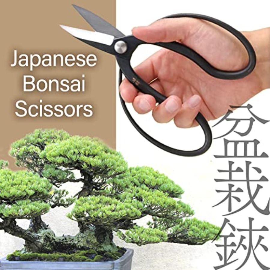 Japanese Suiryu Bonsai Scissor - Bonsai Garden Japan ulasan dan harga