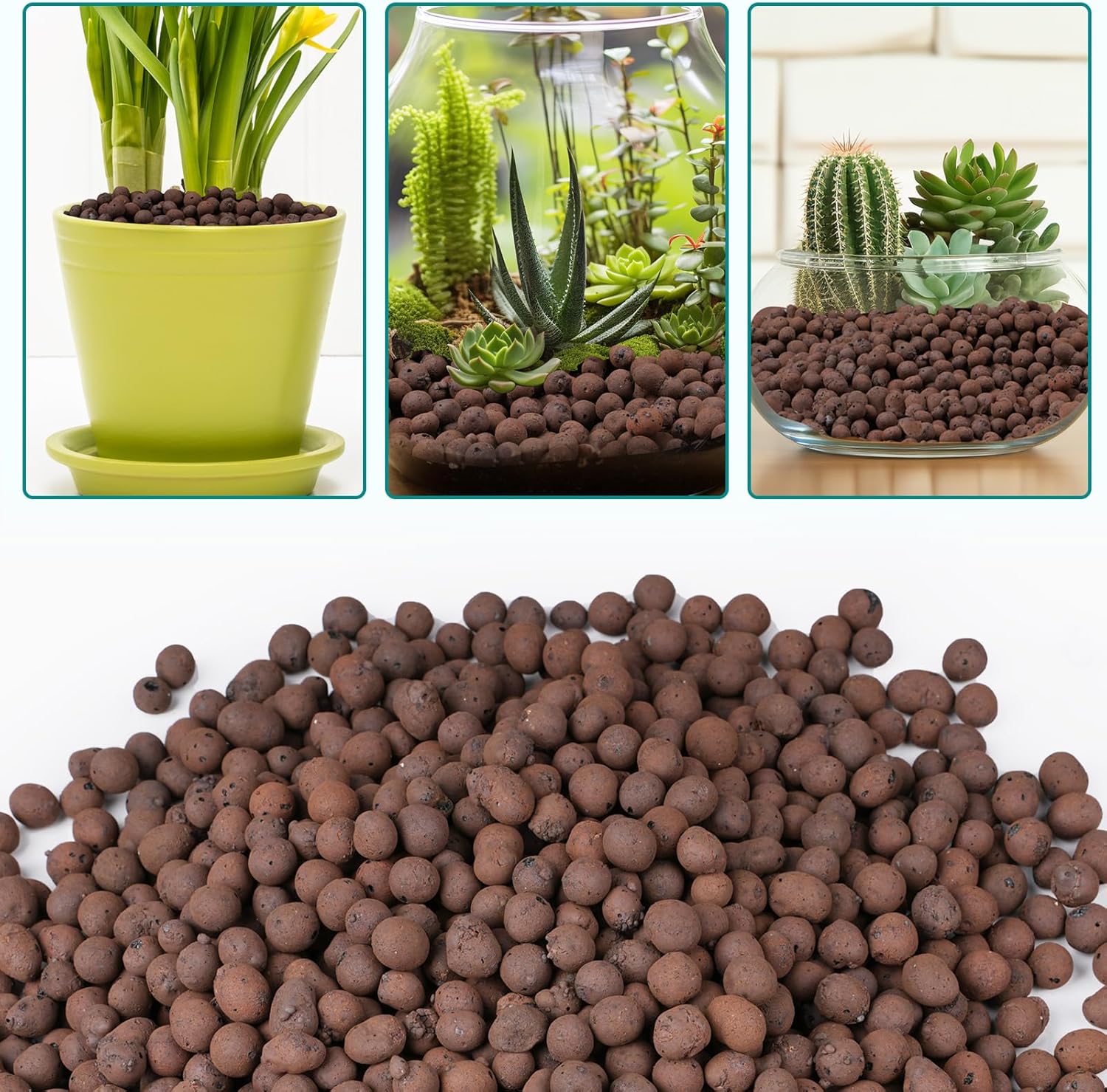 100/200G Clay Pebbles for Plan - Sphagnum Moss Bag ulasan dan harga