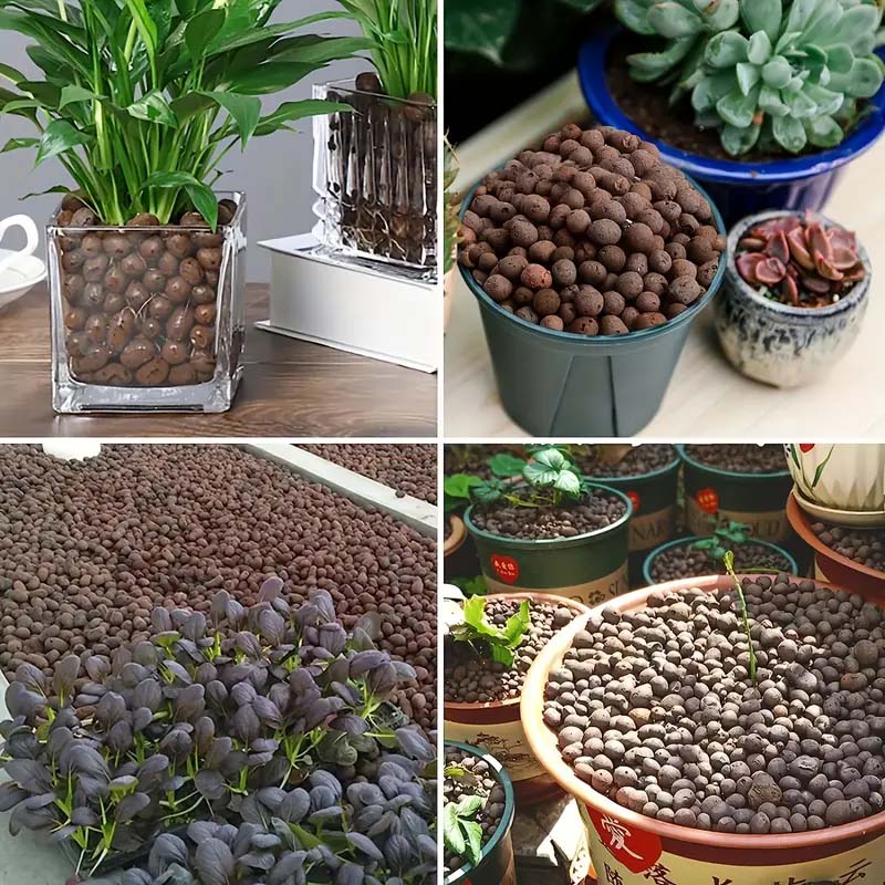 100/200G Clay Pebbles for Plan - Sphagnum Moss Bag ulasan dan harga