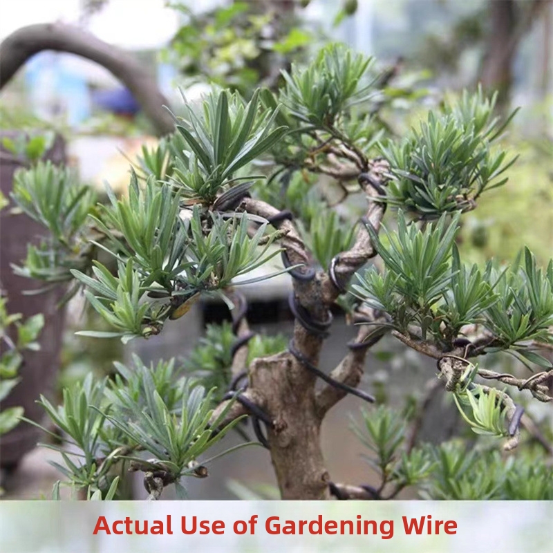 1.5MM Bonsai Wires Aluminum Bo - Bonsai Wire Aluminum ulasan dan harga