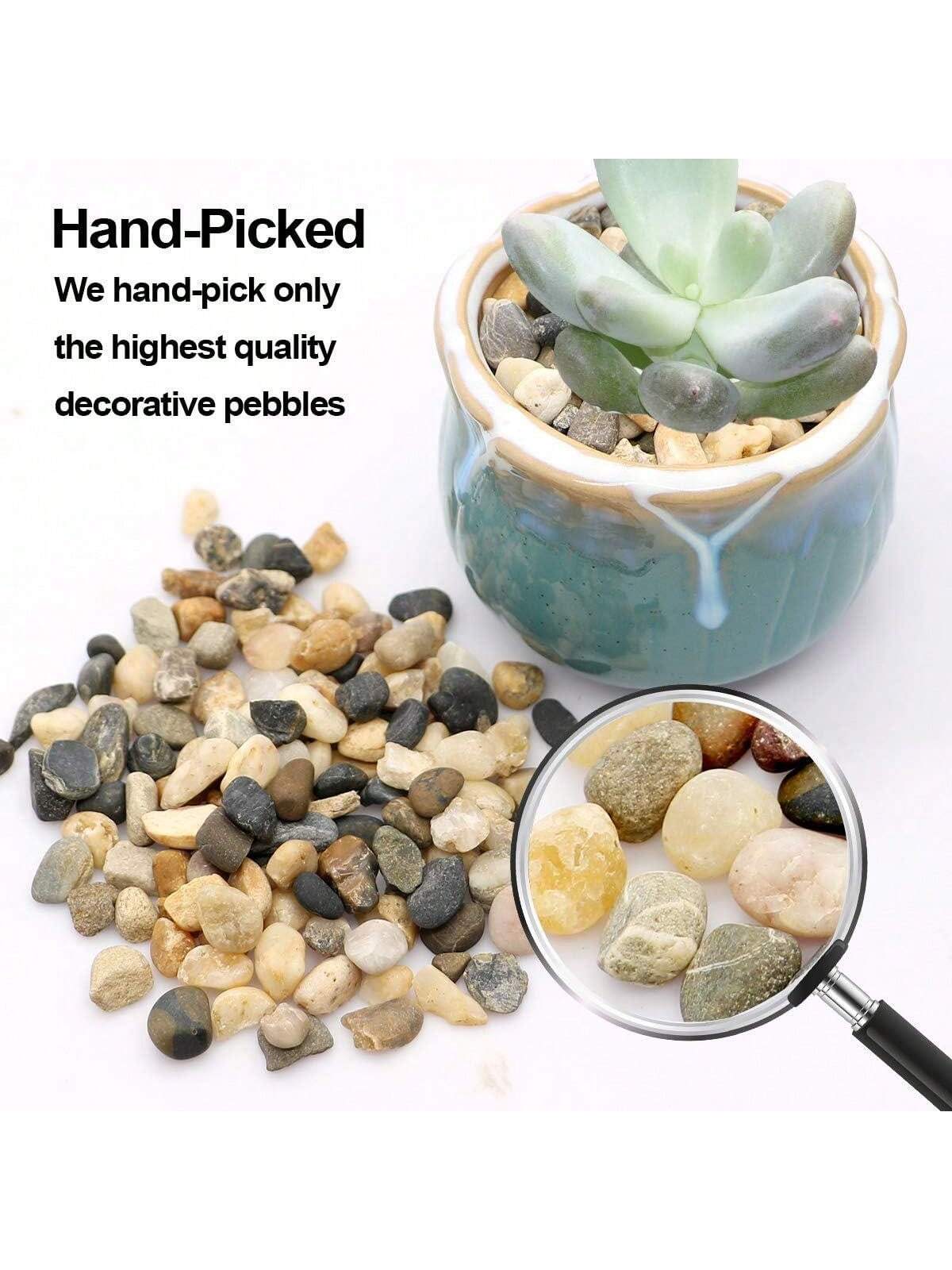 River Rocks Stones Natural Dec - Sphagnum Moss Bag ulasan dan harga