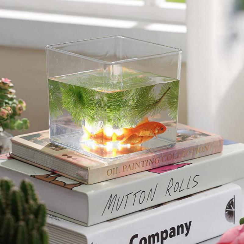 Square/Round Transparent Acryl - Bonsai Garden Nursery ulasan dan harga
