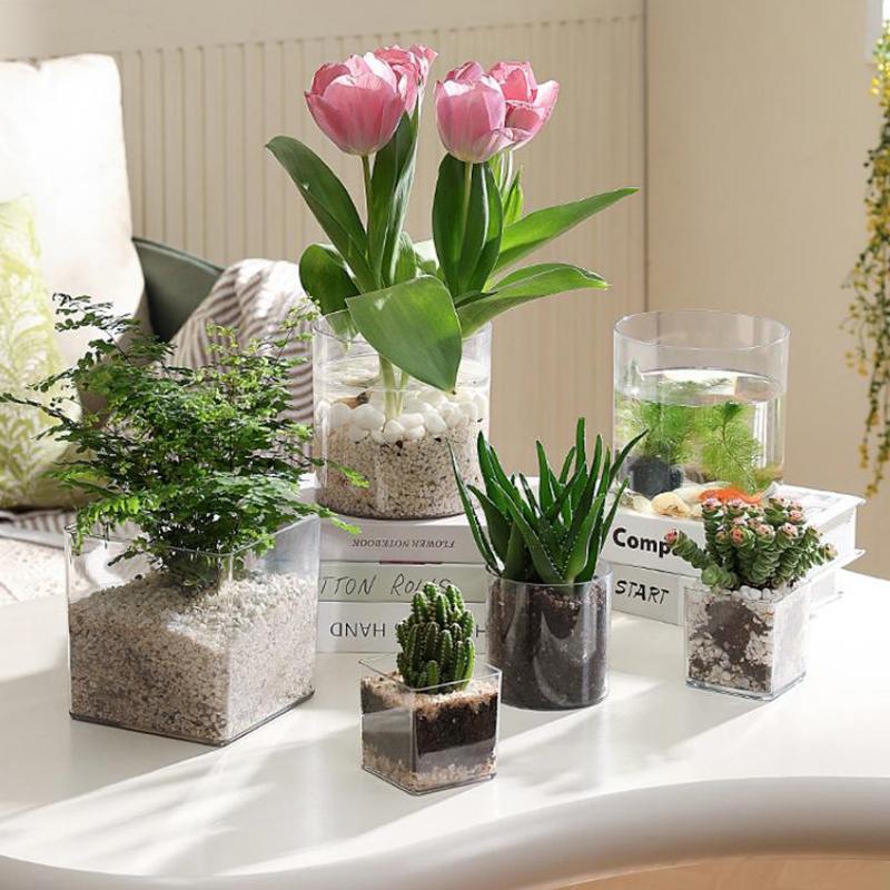 Square Round Transparent Acryl - Bonsai Garden Nursery ulasan dan harga