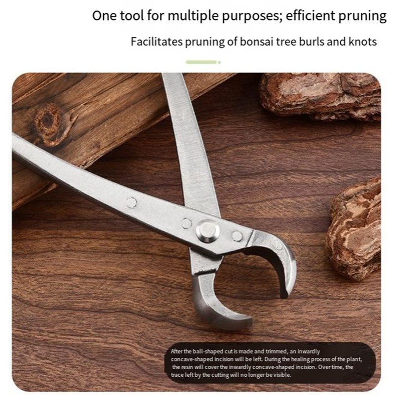 ABGH-Bonsai Tree Tools, 4 Piec - Root Hook Tool ulasan dan harga