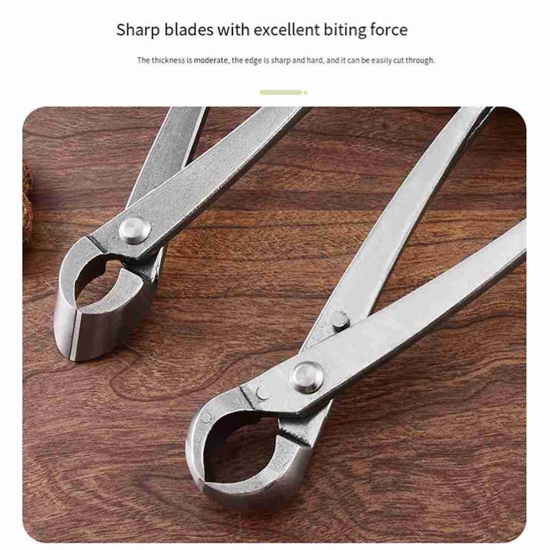 ABGH-Bonsai Tree Tools, 4 Piec - Root Hook Tool ulasan dan harga