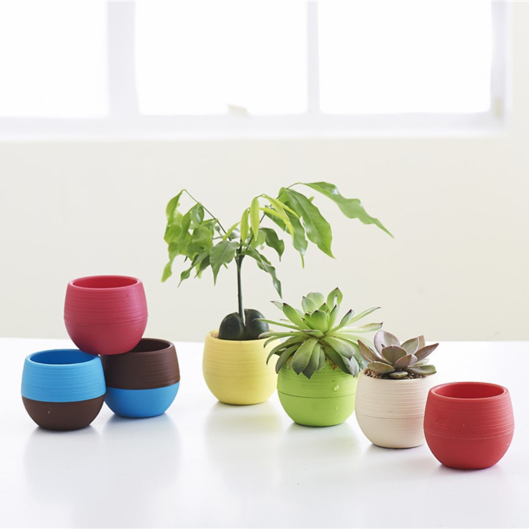 Gardening Mini Plastic Flower  - Bonsai Garden Nursery ulasan dan harga
