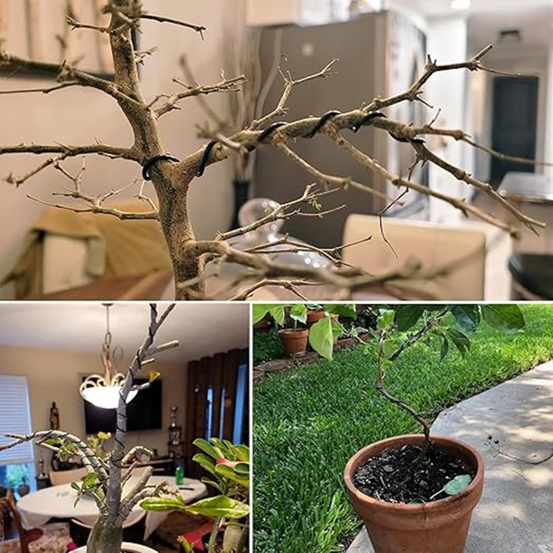 1mm Black Aluminum Bonsai Wire - Bonsai Wire Aluminum ulasan dan harga