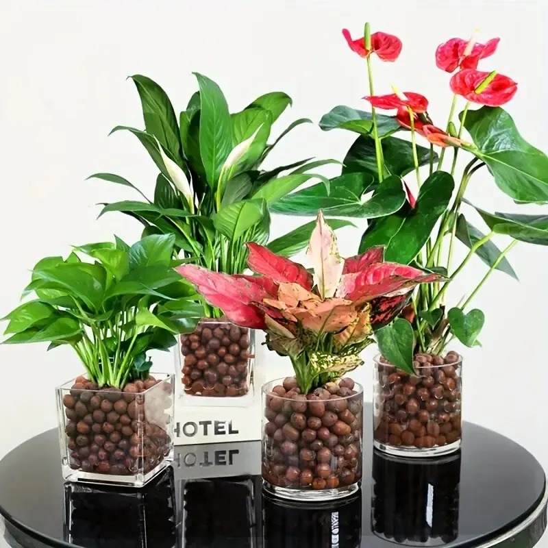 1pc Garden Hydroponic Expanded - Sphagnum Moss Bag ulasan dan harga