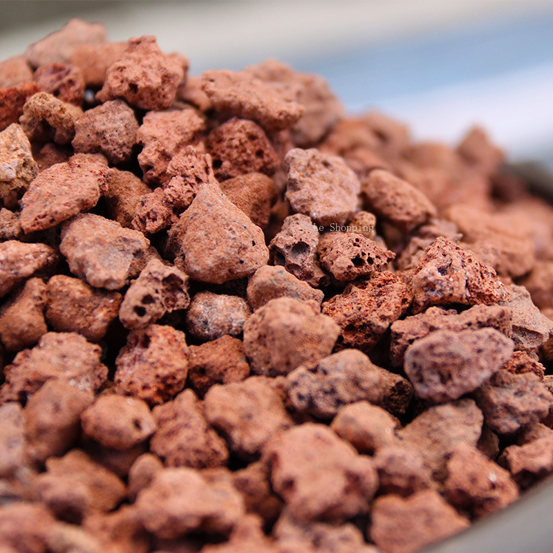 500g/1000g Red Volcanic Rock S - Sphagnum Moss Bag ulasan dan harga