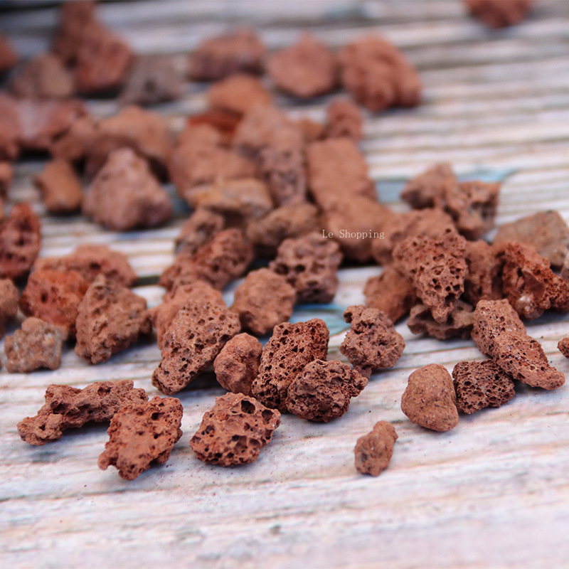500g/1000g Red Volcanic Rock S - Sphagnum Moss Bag ulasan dan harga